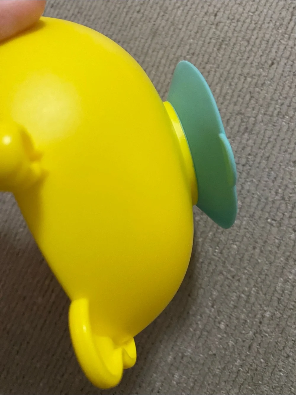 Skip Hop skip hop