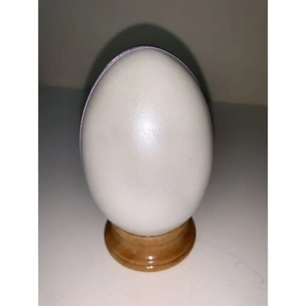 N/A 1991 enesco
