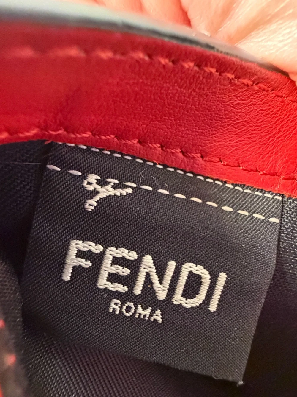 Fendi bag bugs