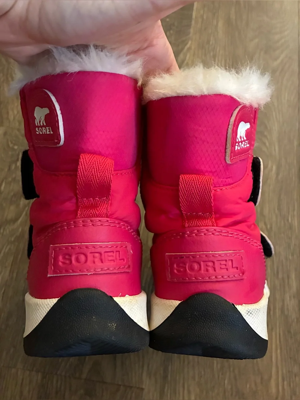 Sorel great