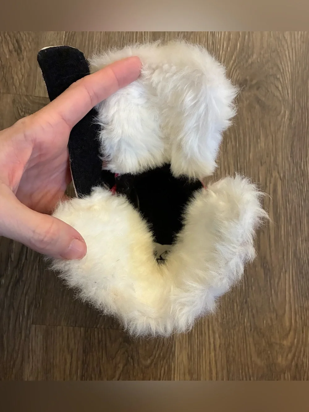 Sorel great