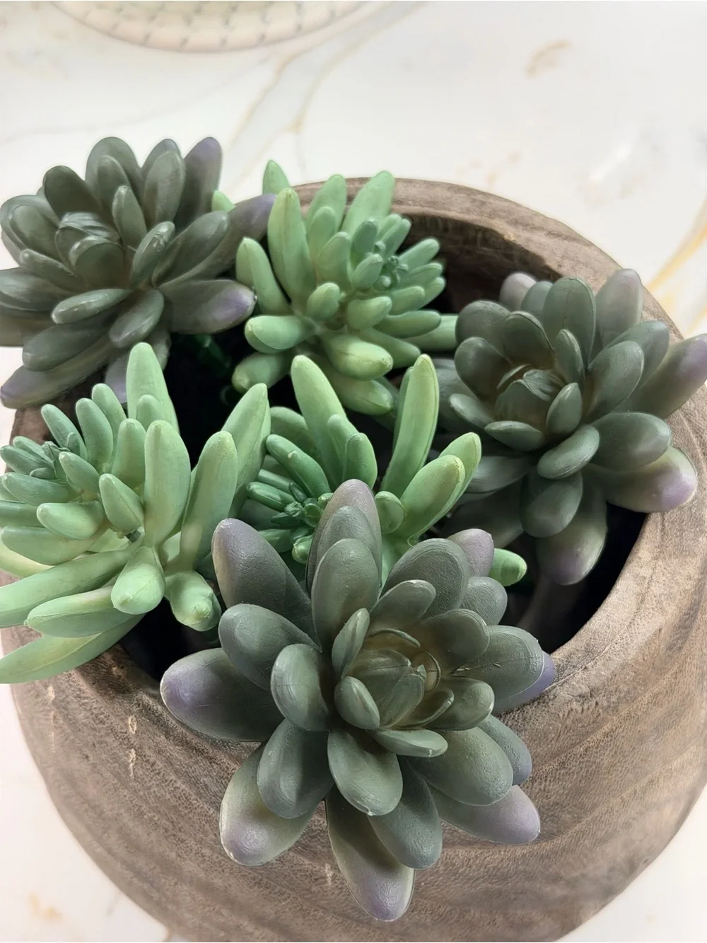 N/A artificial succulent
