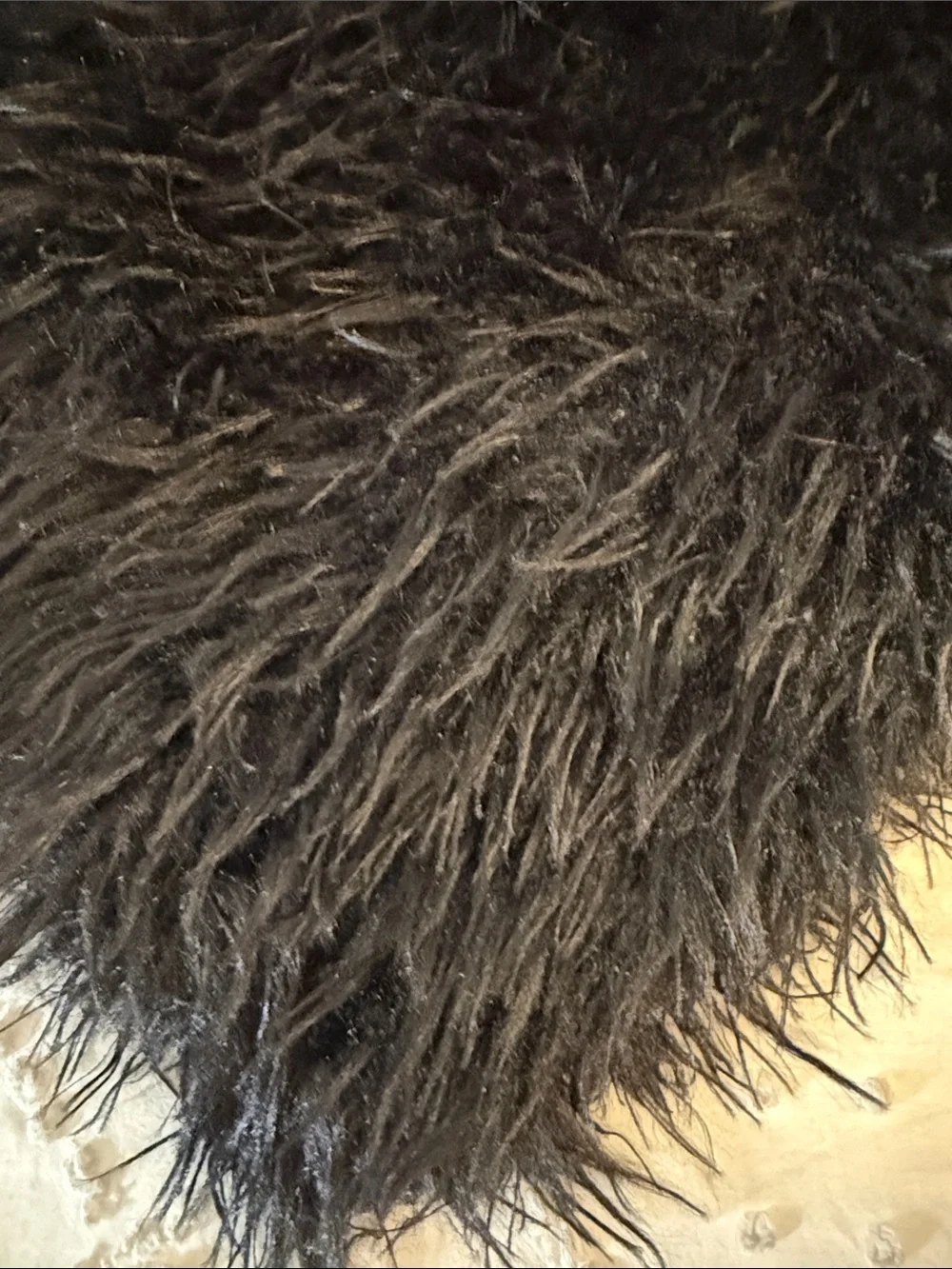 N/A plush black