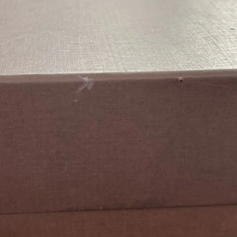 Louis Vuitton authentic louis