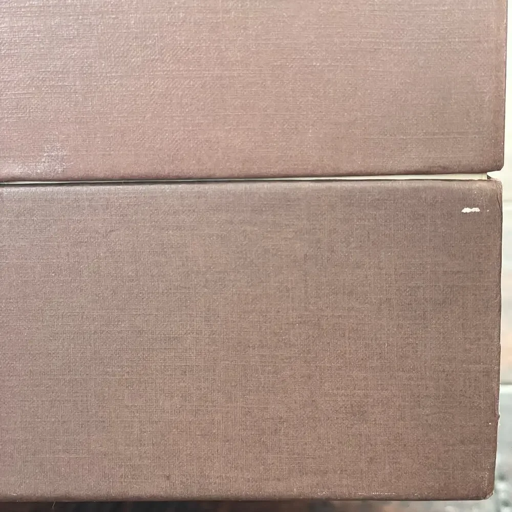 Louis Vuitton authentic louis