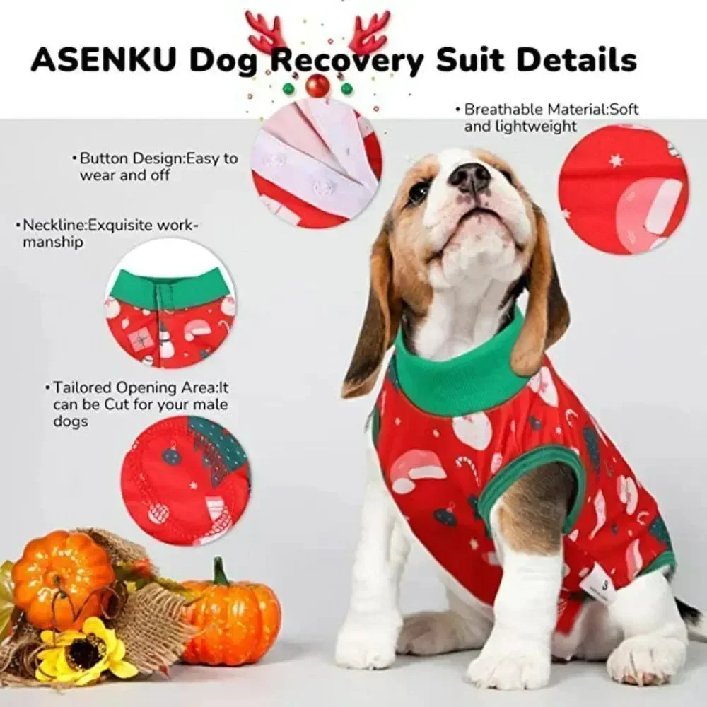 N/A dog onesie