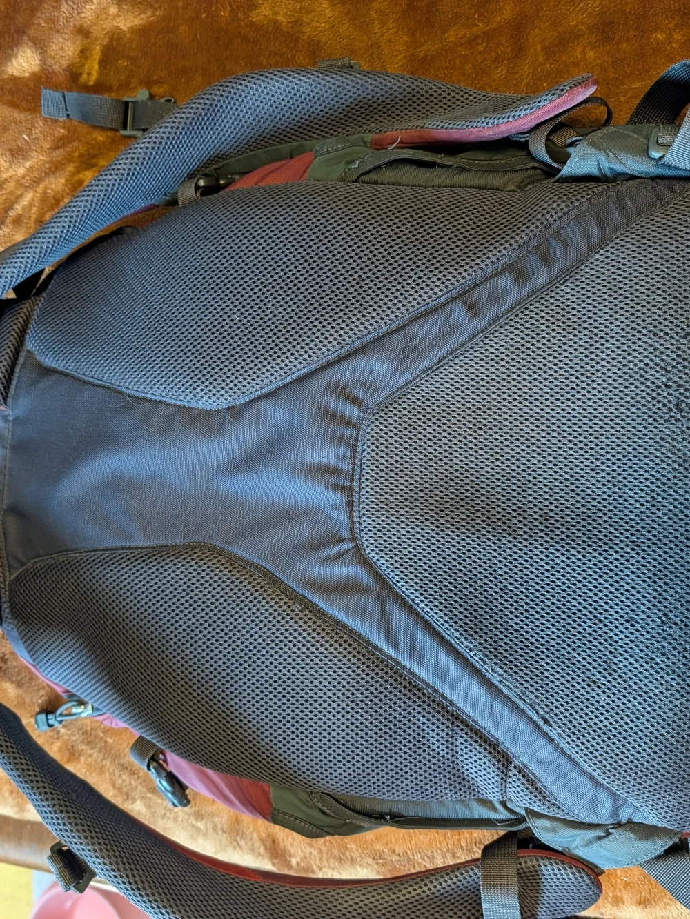 The North Face north face