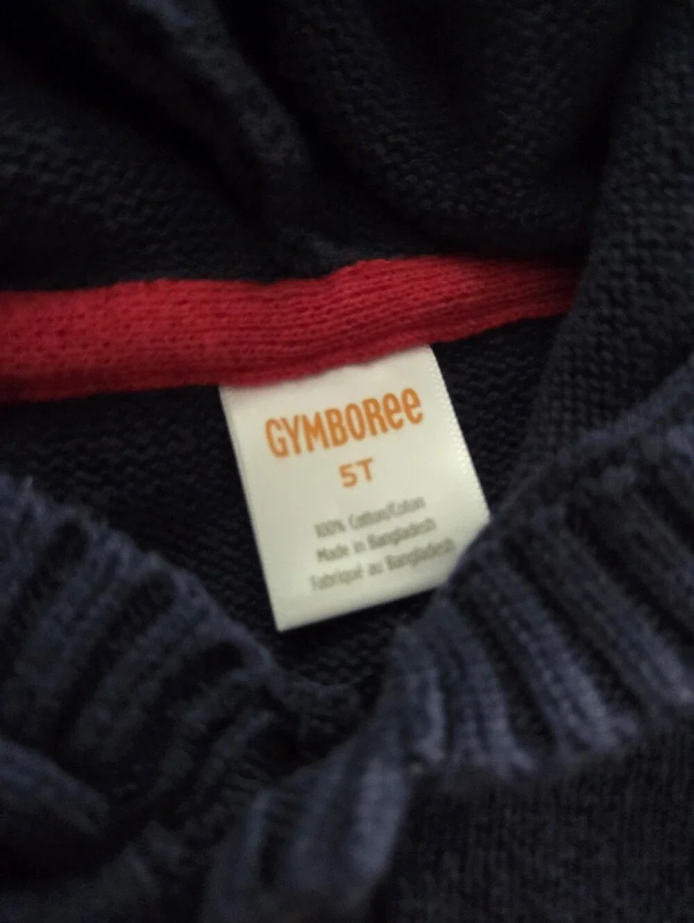 Gymboree pair hooded
