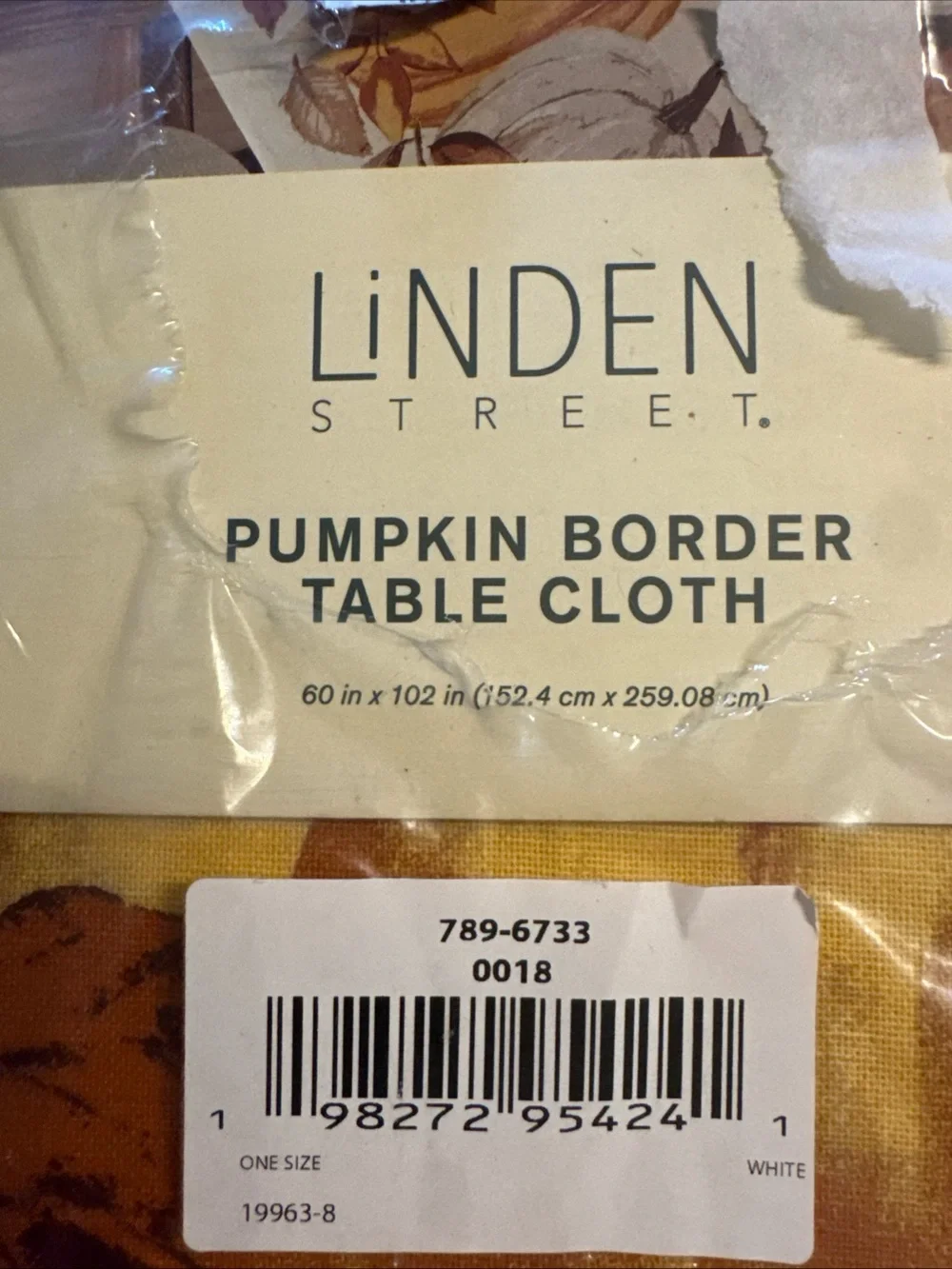 N/A pumpkin border