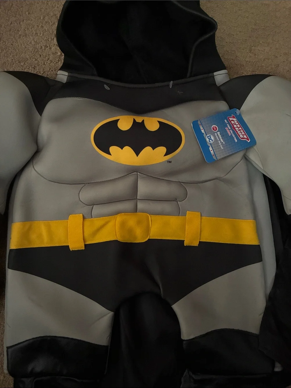 DC official batman