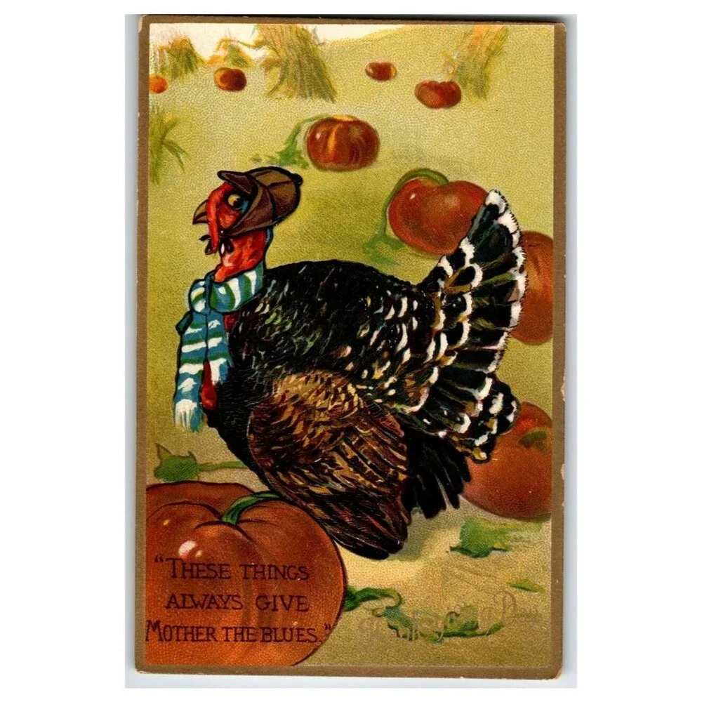 Raphael Tuck Comic Thanksgiving Turkey Postcard No 162 