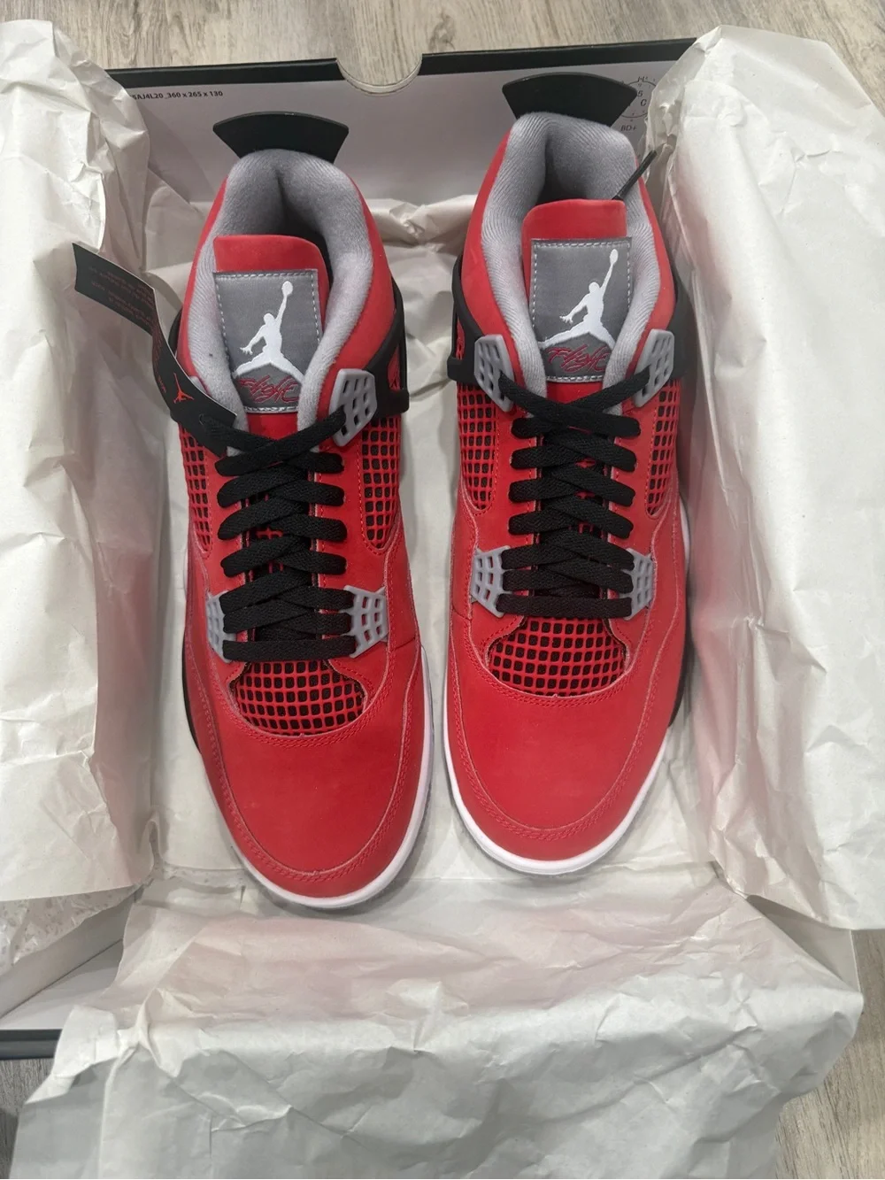 Jordan iconic design