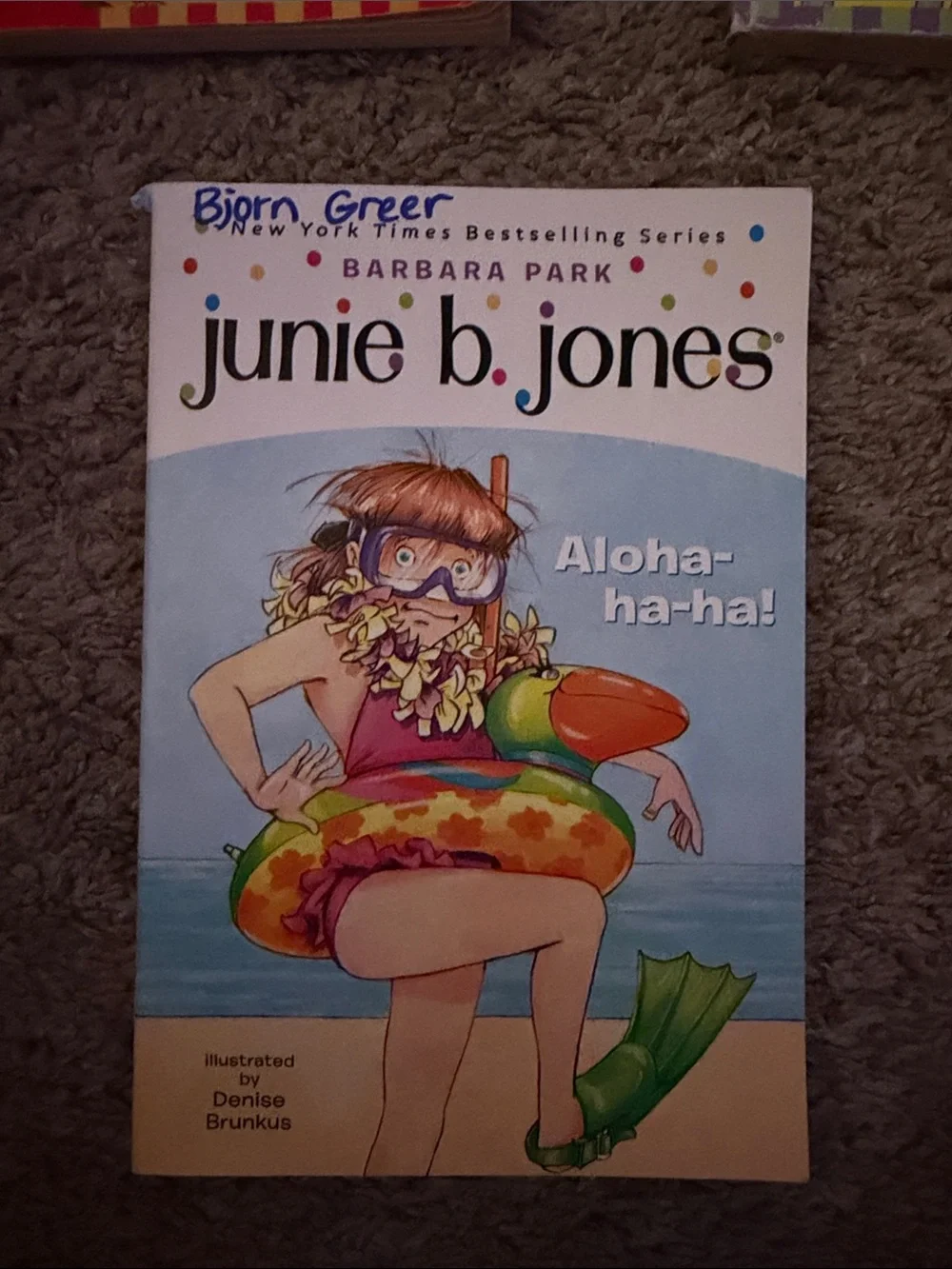 Junie B. jones set junie