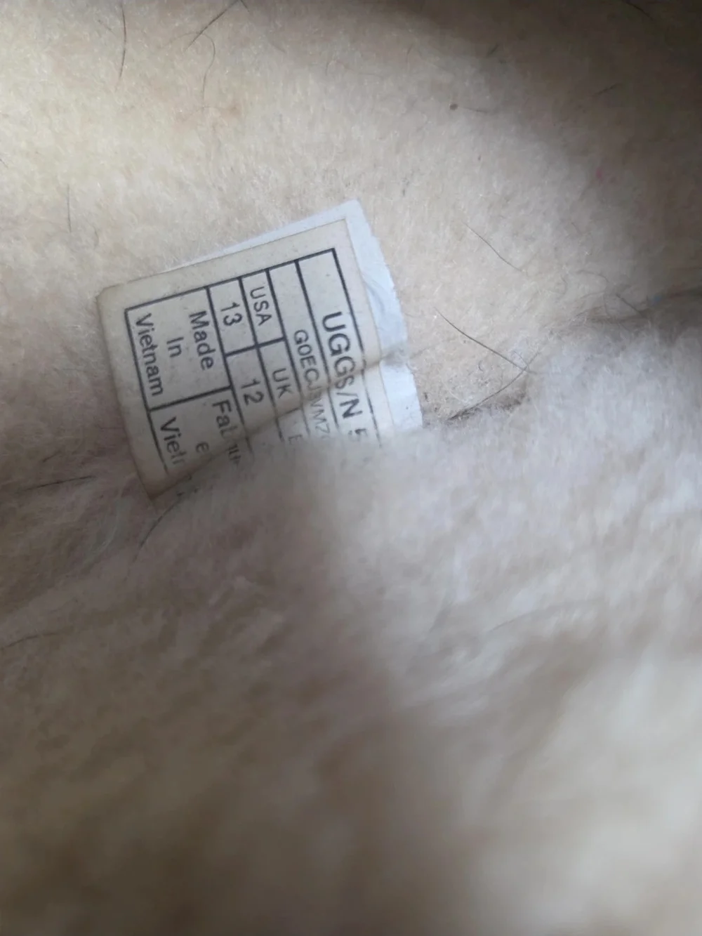 UGG comfortable men