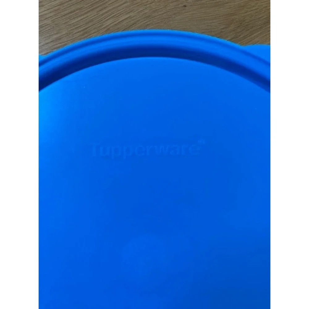Tupperware mickey mouse