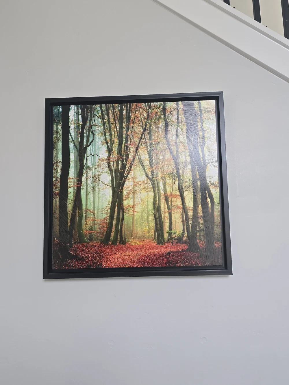 Framed Autumn Forest Wall Art Print - Red & Green