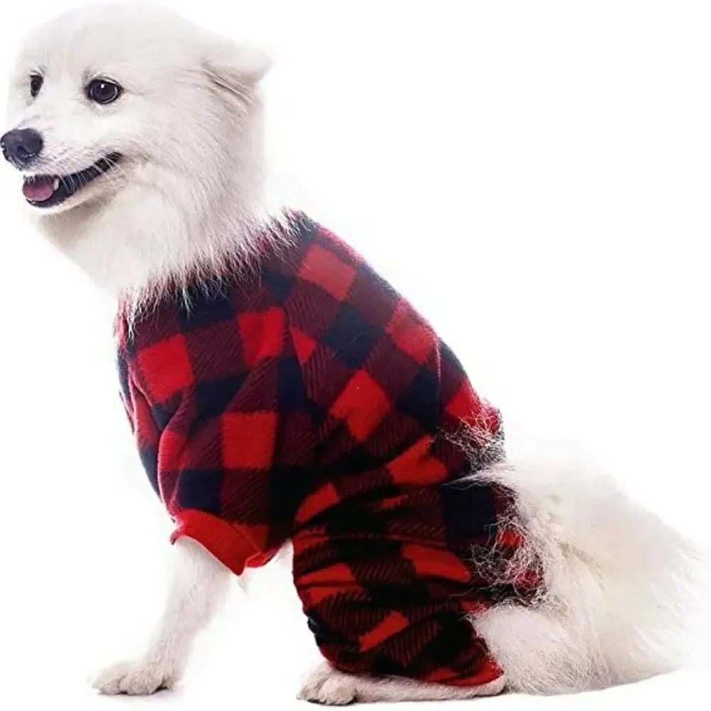 N/A dog pet