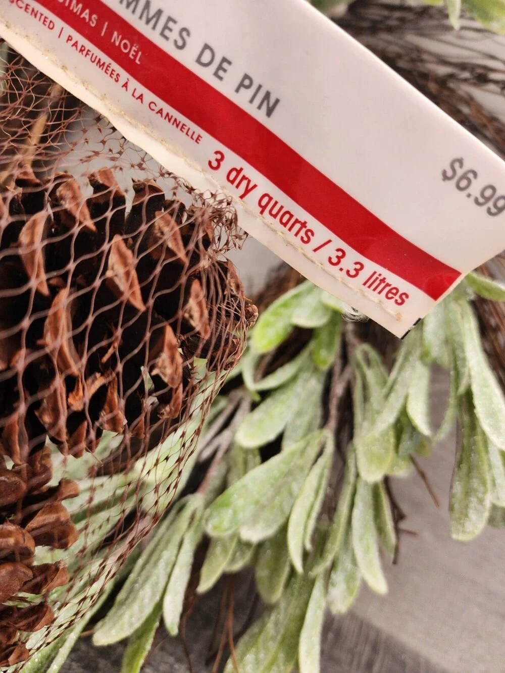 Ashland pinecones crafting