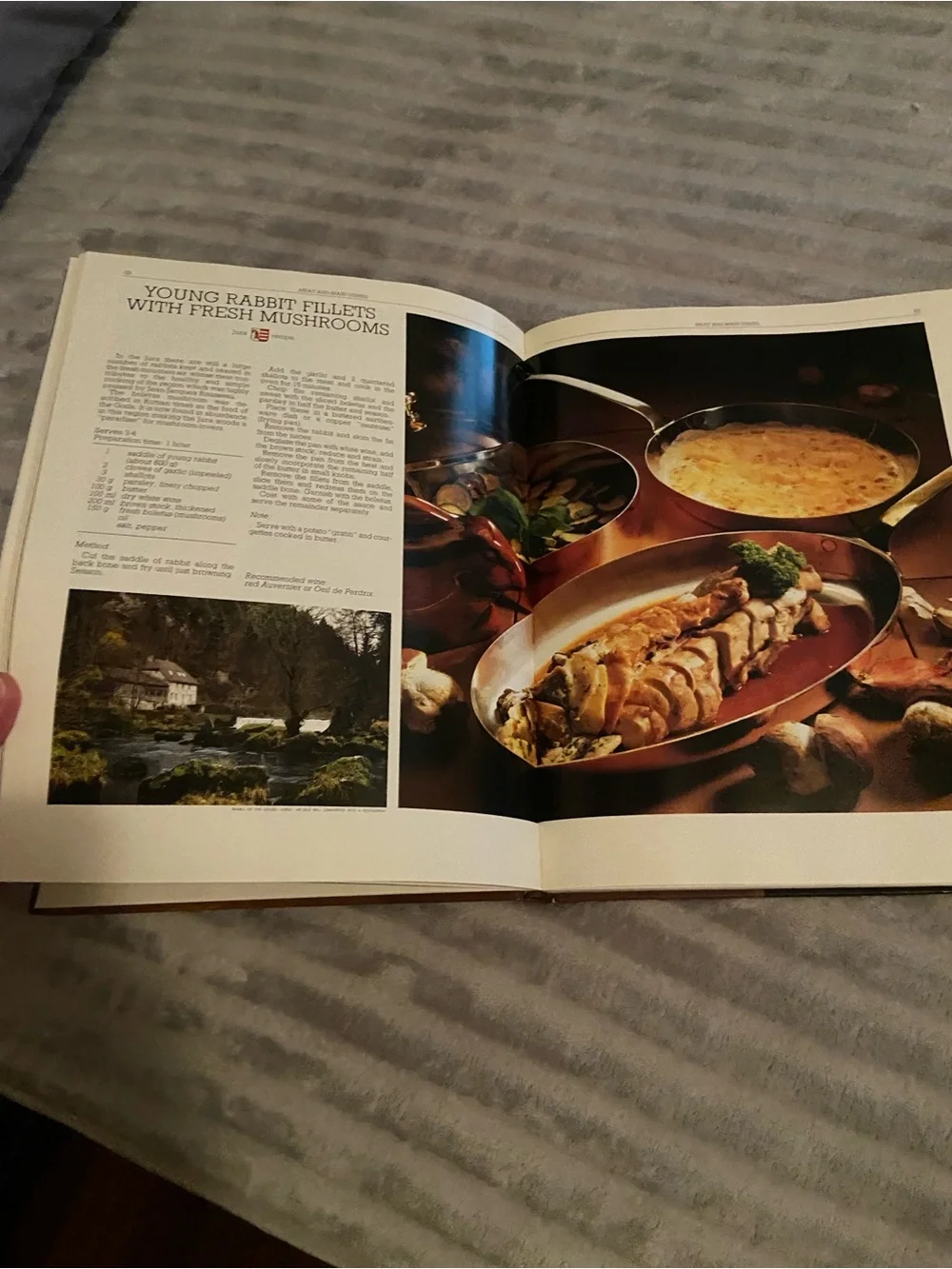 Nestle vintage culinary