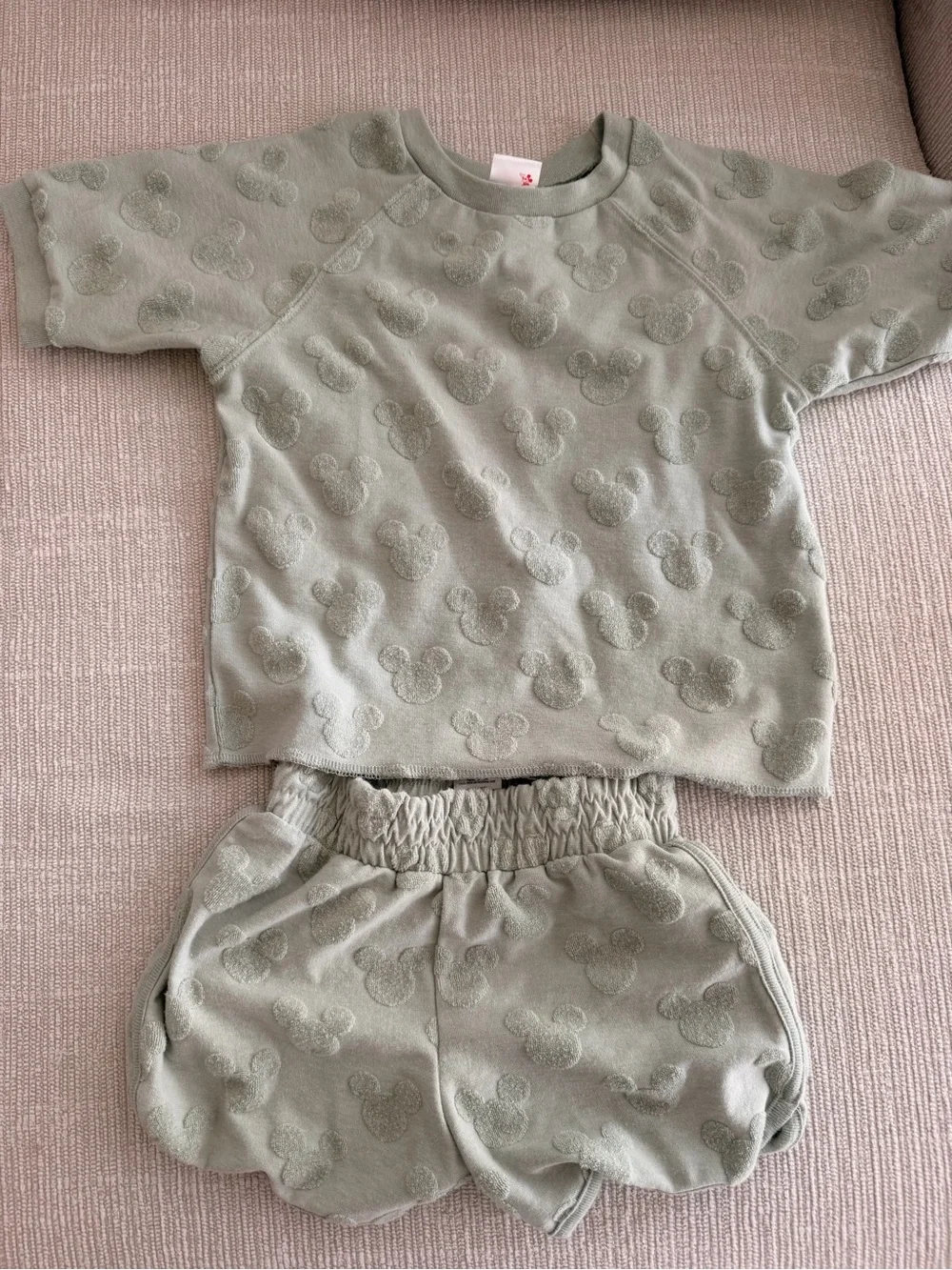 Disney soft sage