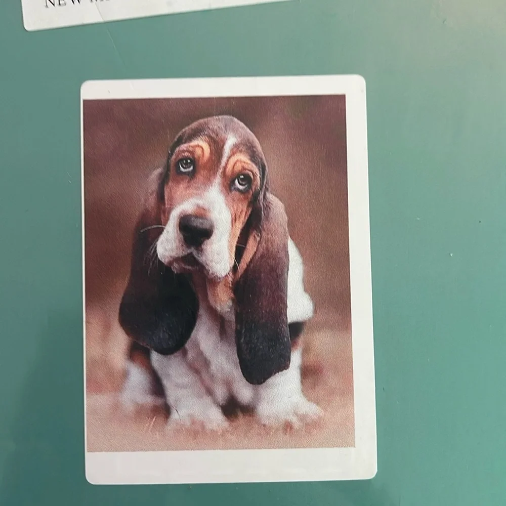 Basset Hound dog Jigsaw Puzzles 500 piece new unopened