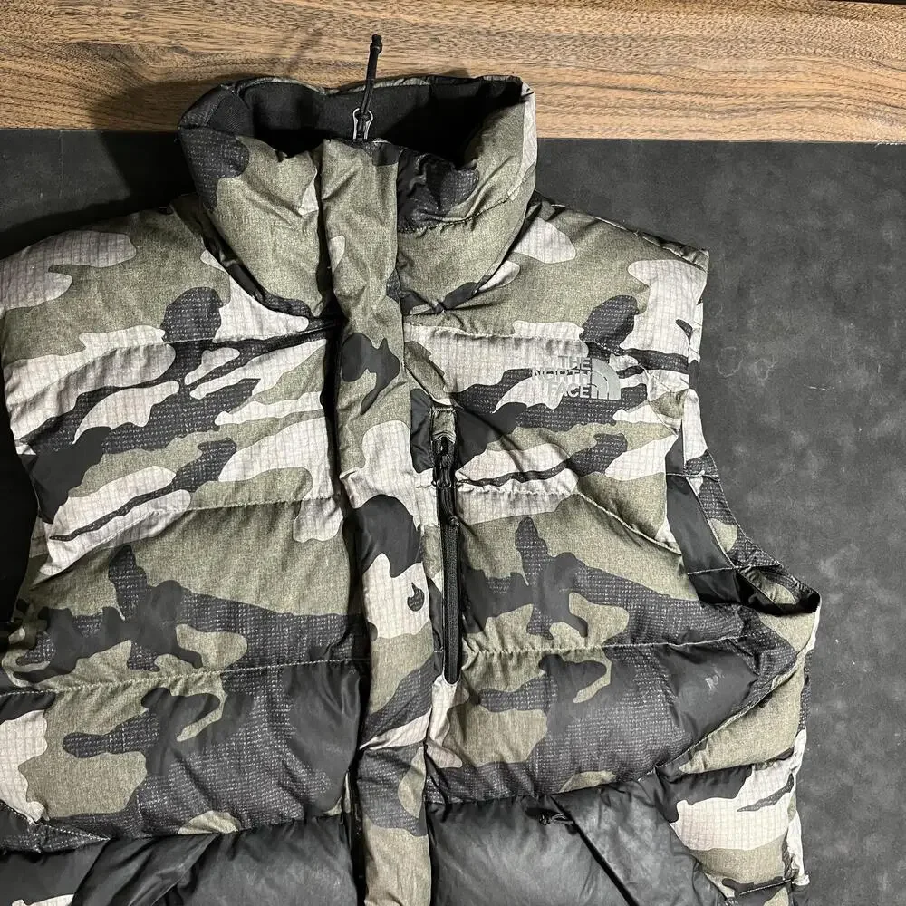 The North Face subject north