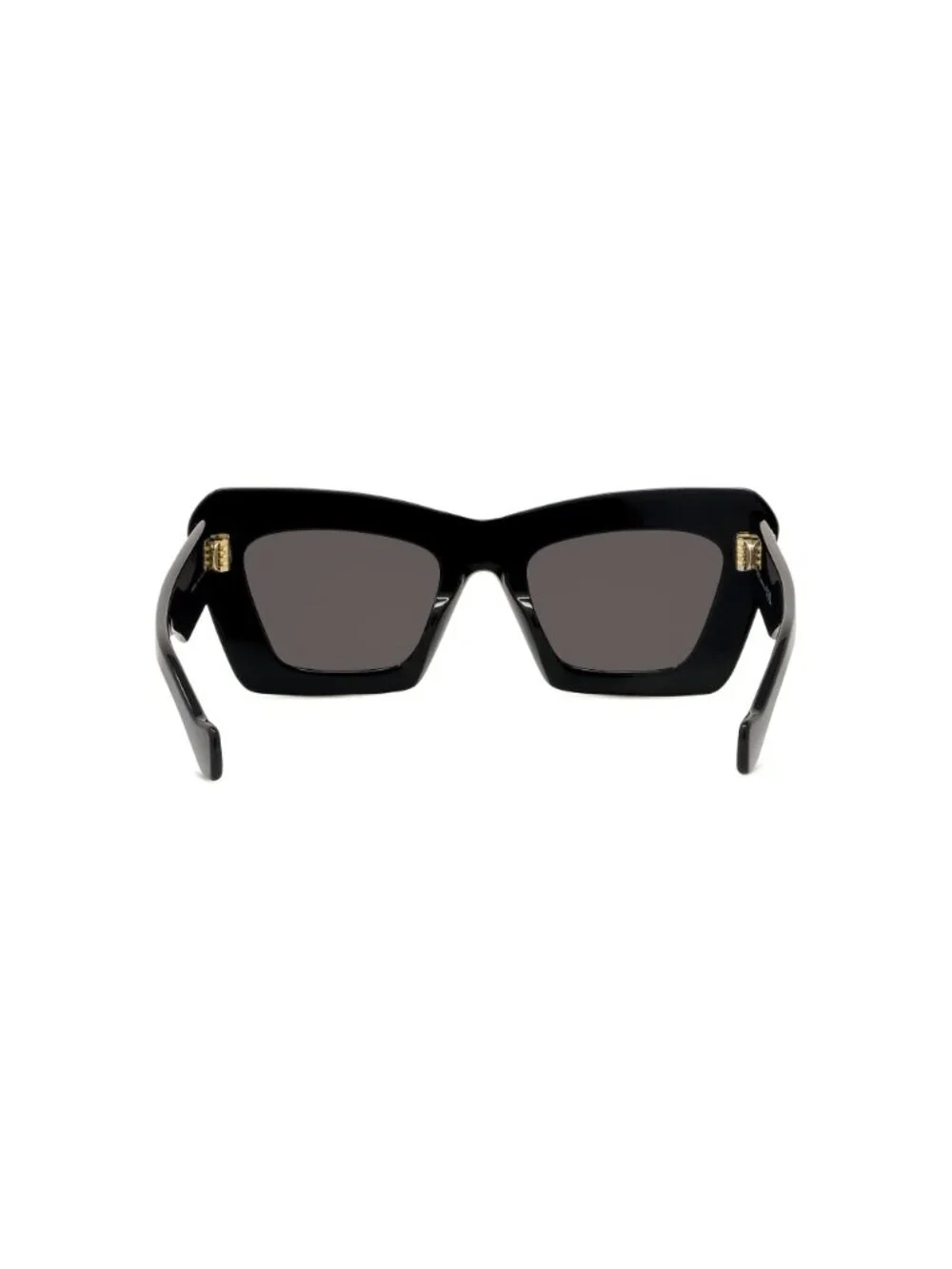 LOEWE new sunglasses