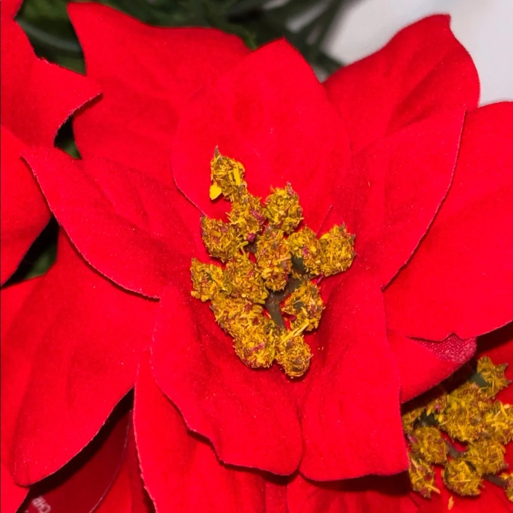 Red Poinsettia Floral Stems Holiday Bouquet RED POINSETTIAS SET OF 6 Poinsettia