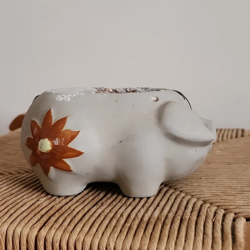 N/A charming ceramic