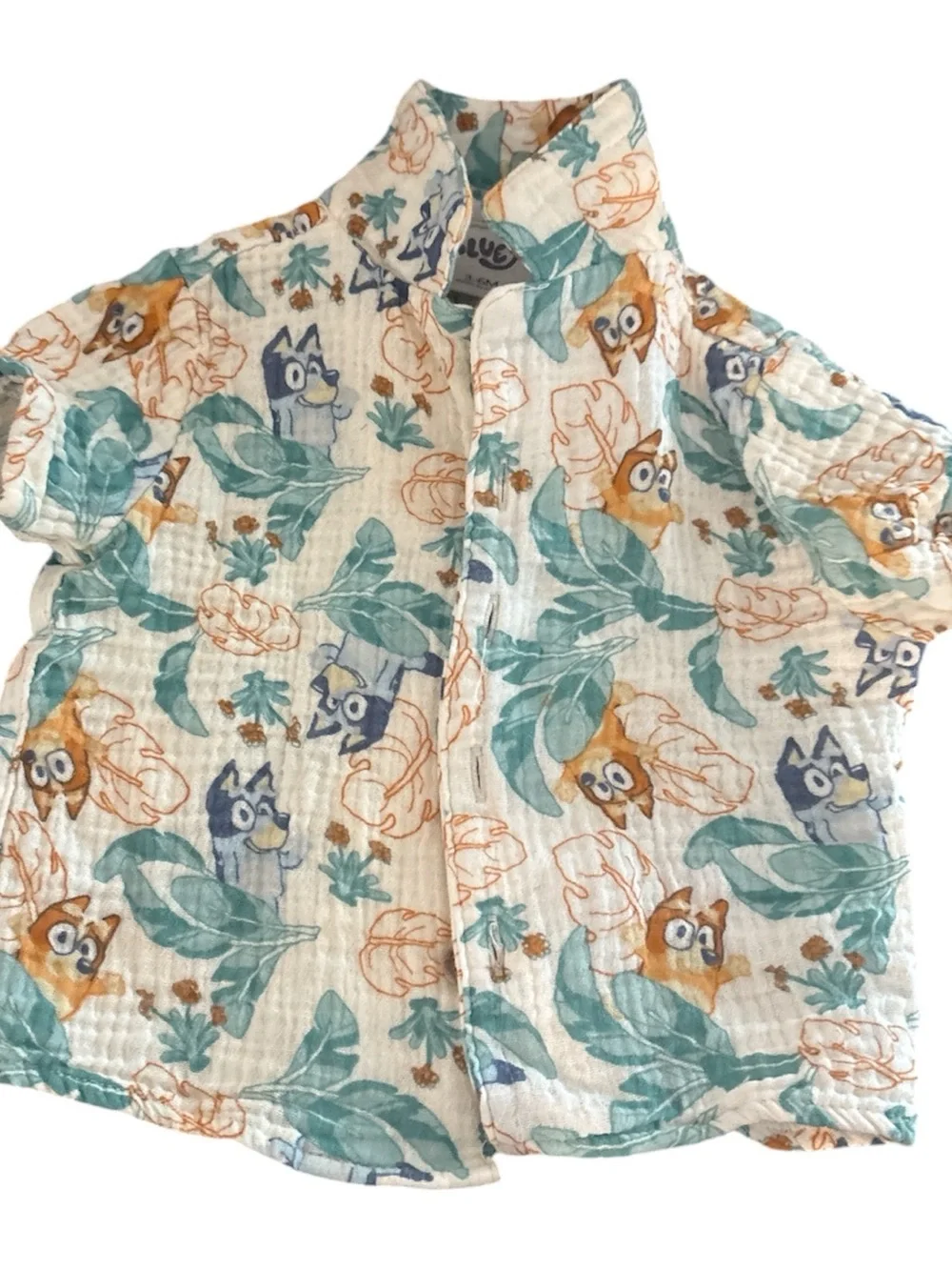 Bluey boys matching