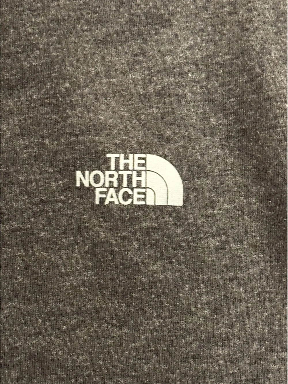 The North Face this men