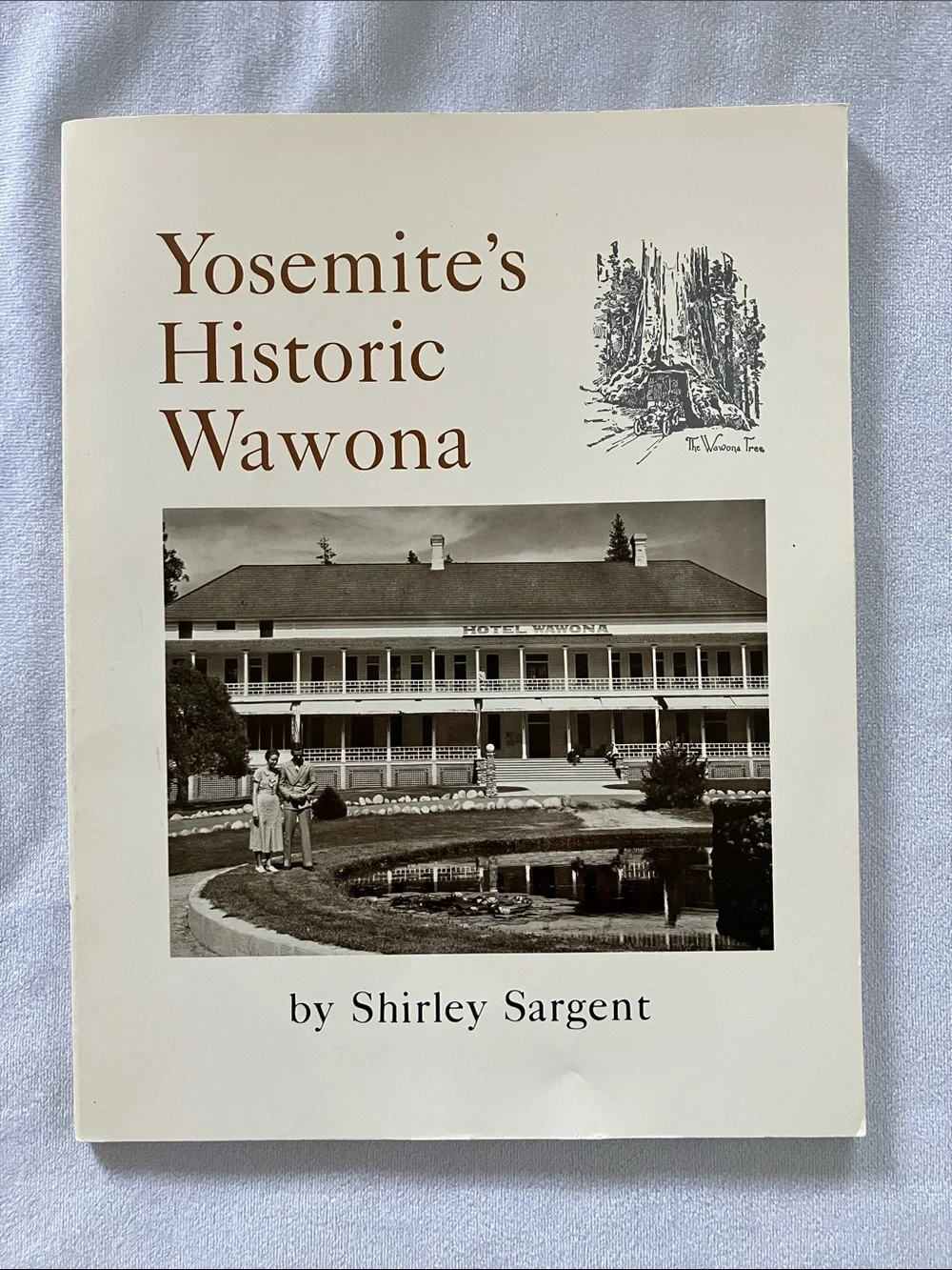 Vintage yosemite its