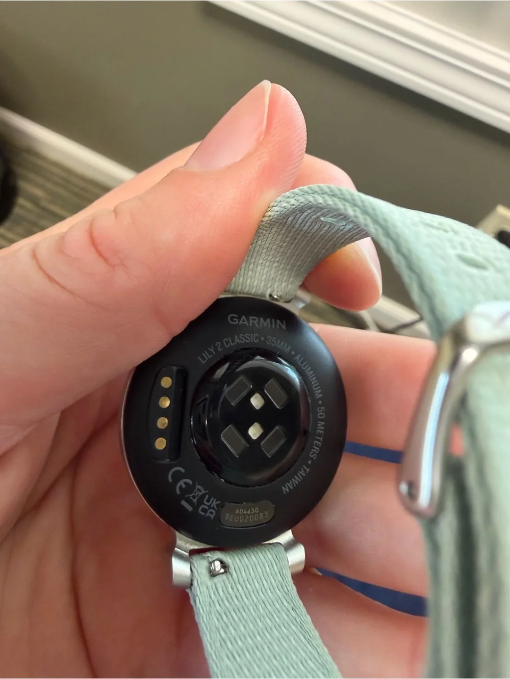 garmin lily classic