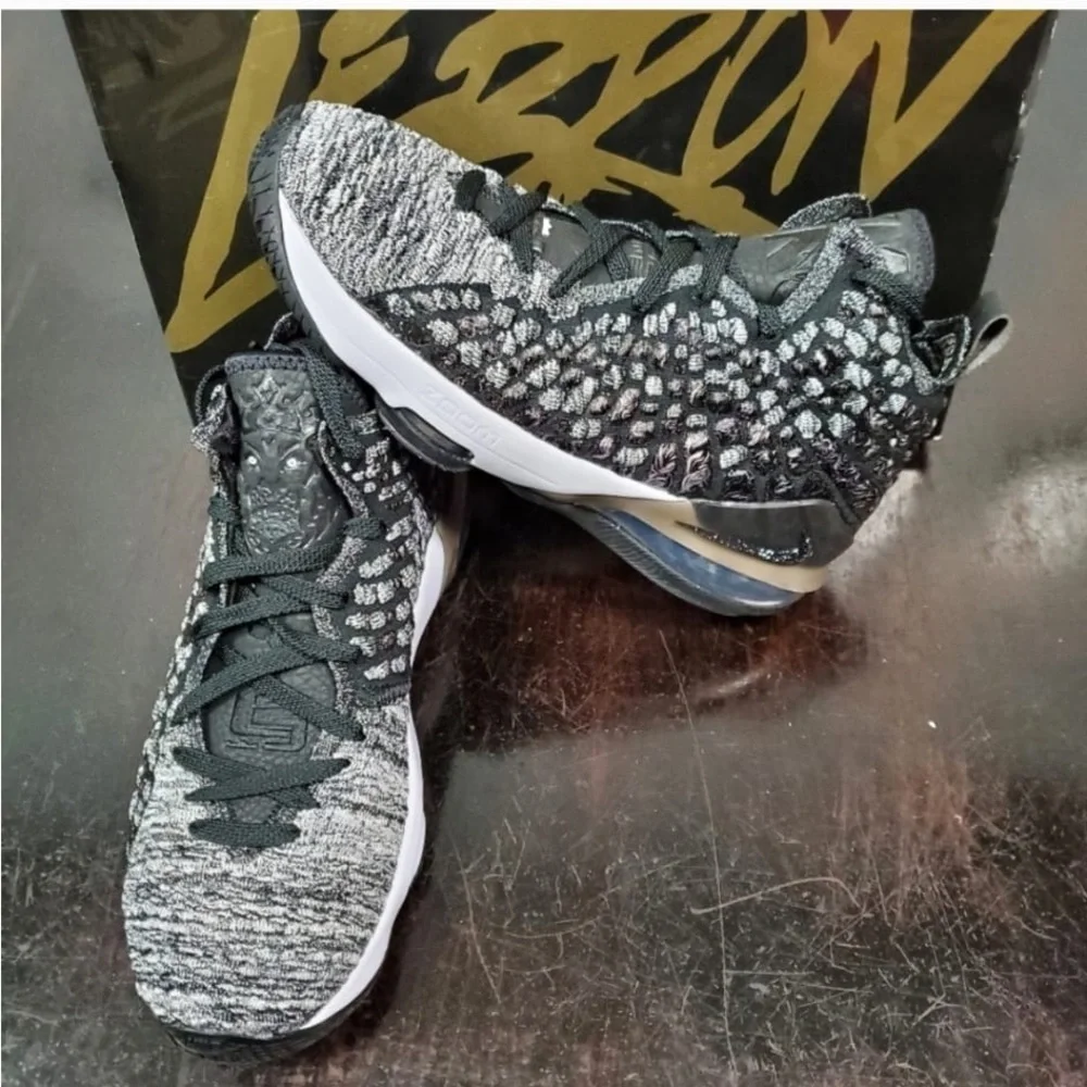 Nike lebron 17