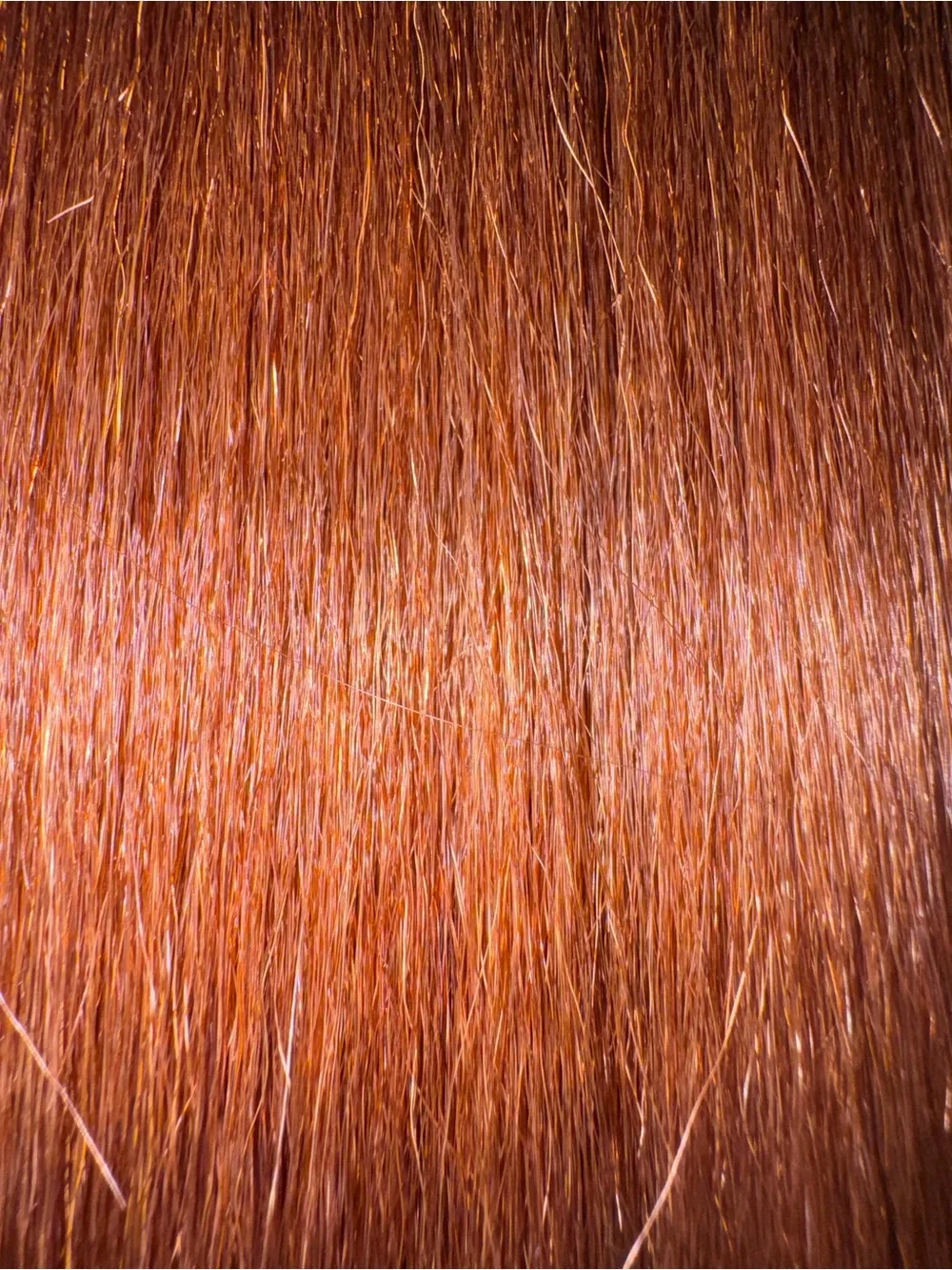 Lisa collection lisa collection