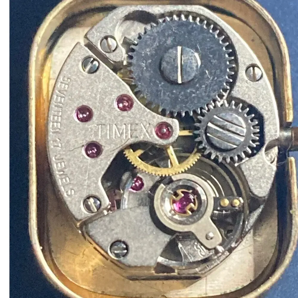 Timex discover timeless