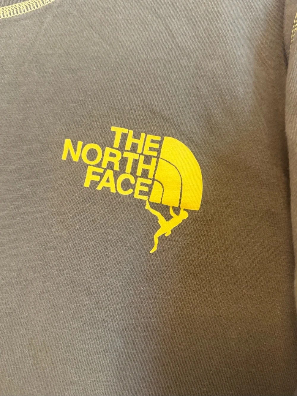 The North Face casual short