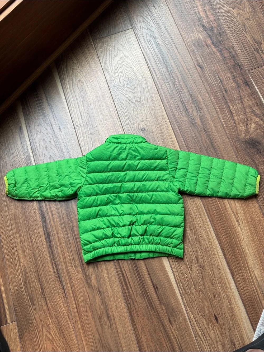 Patagonia vivid green