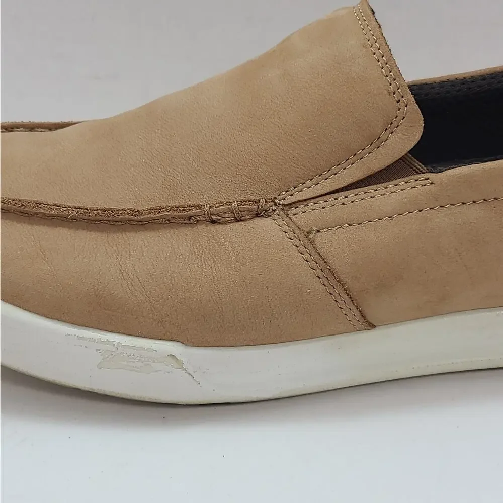 Ecco cathum mens