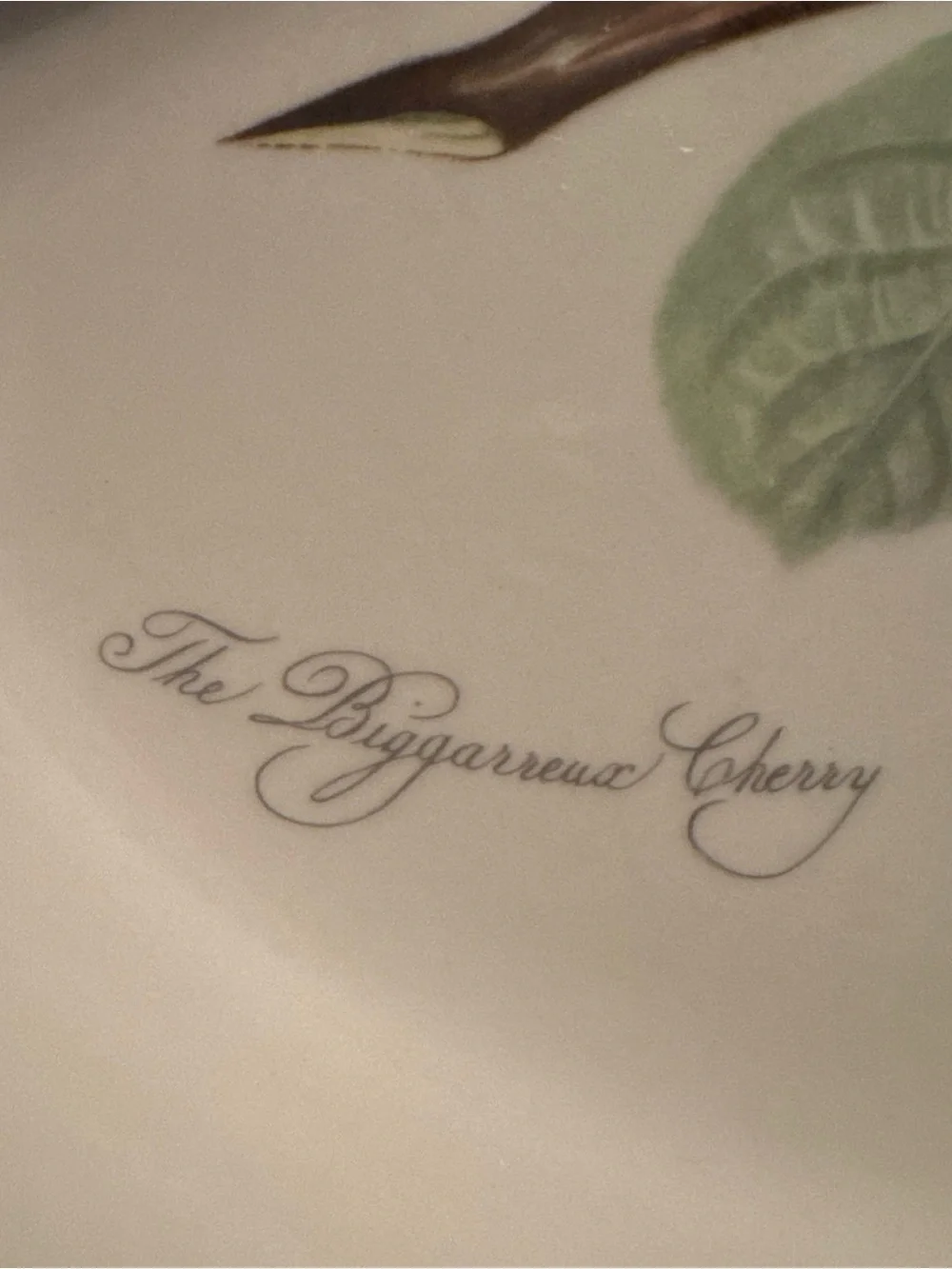 N/A elegant white