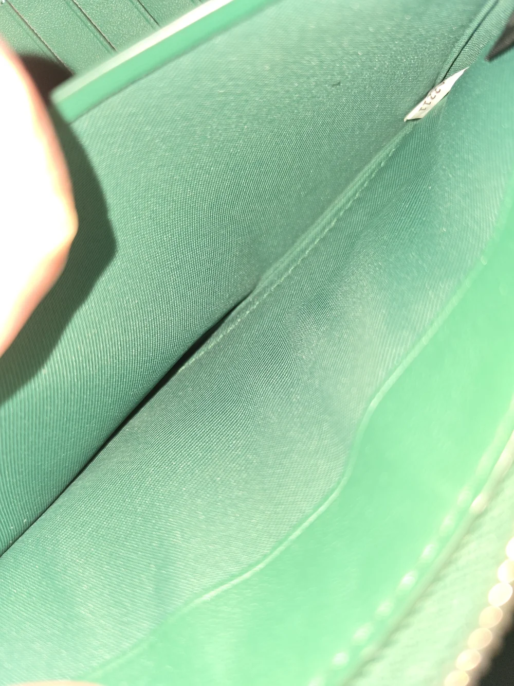 Coach green signature