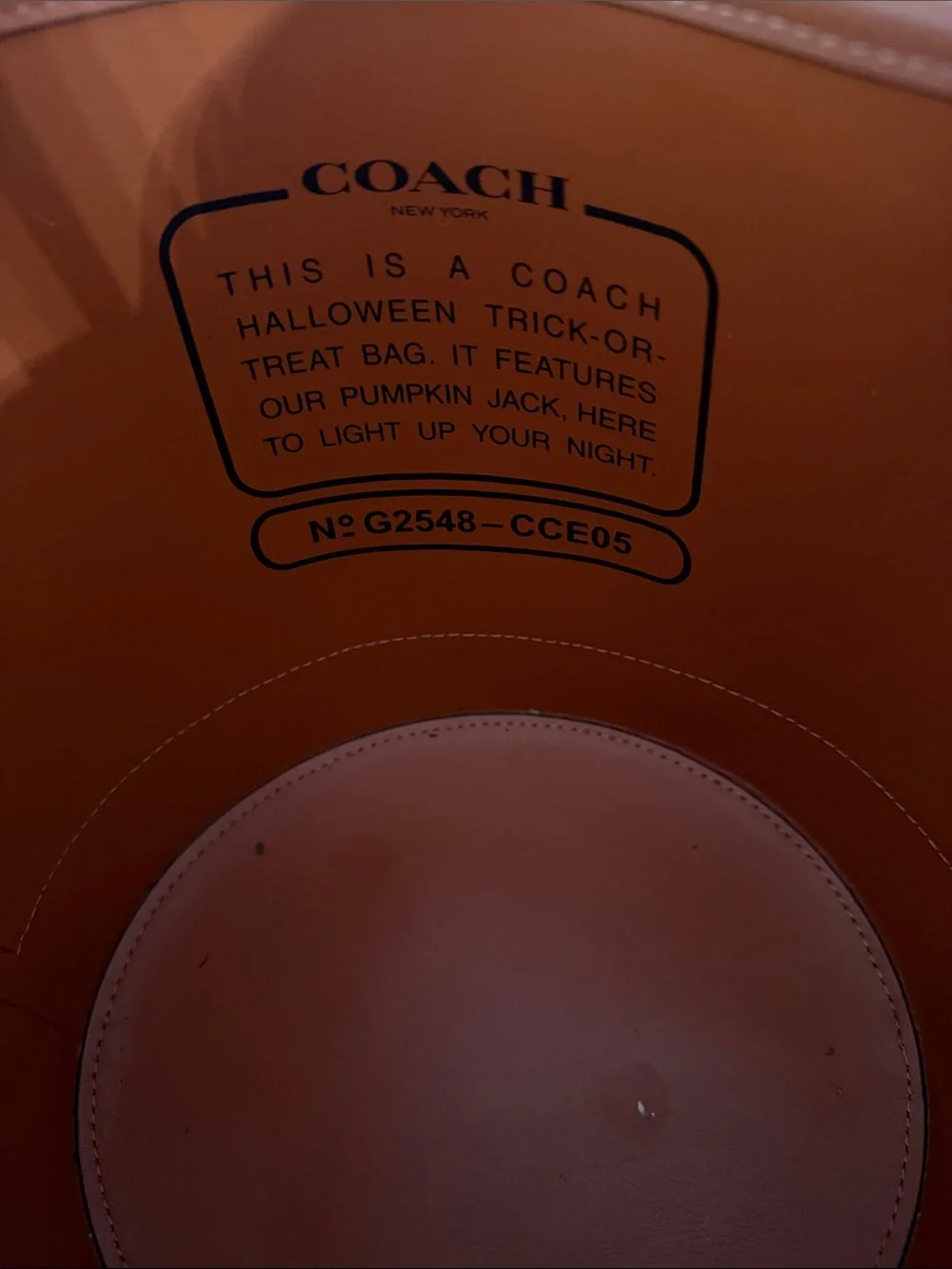 Coach bucket bag