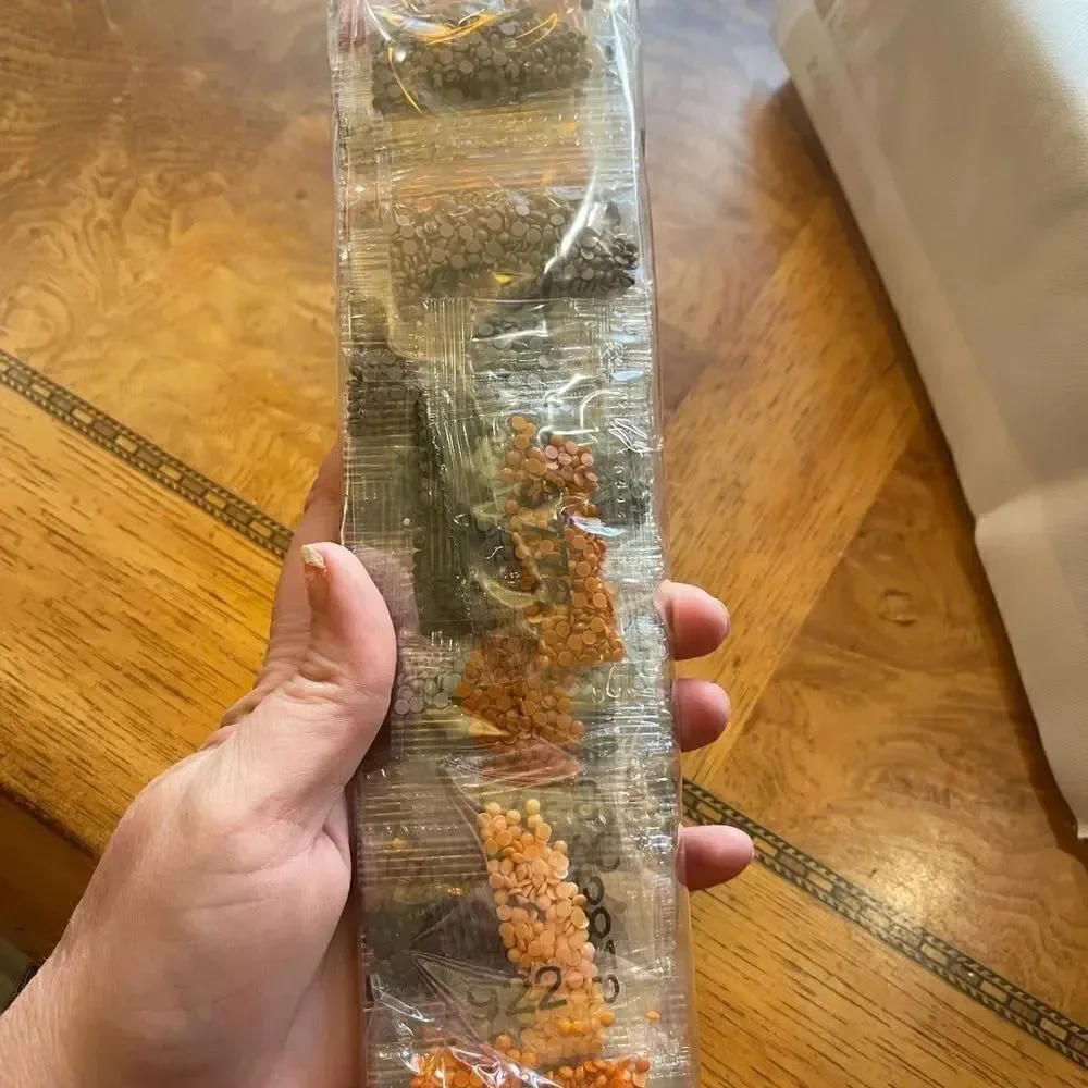 N/A lion shells