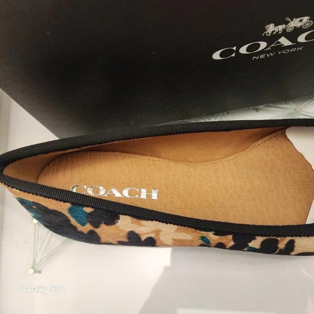Coach brand model