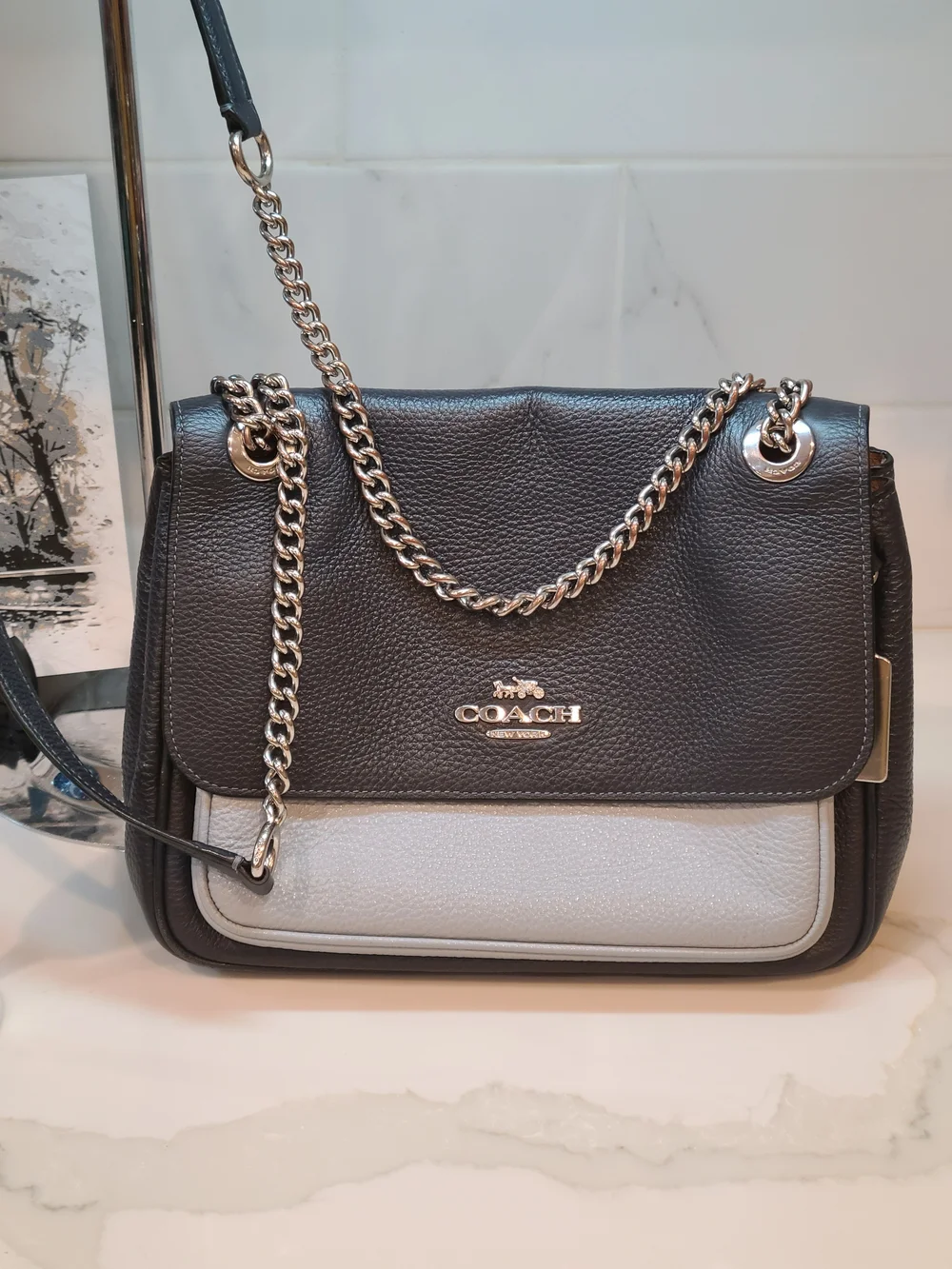 Coach klare crossbody