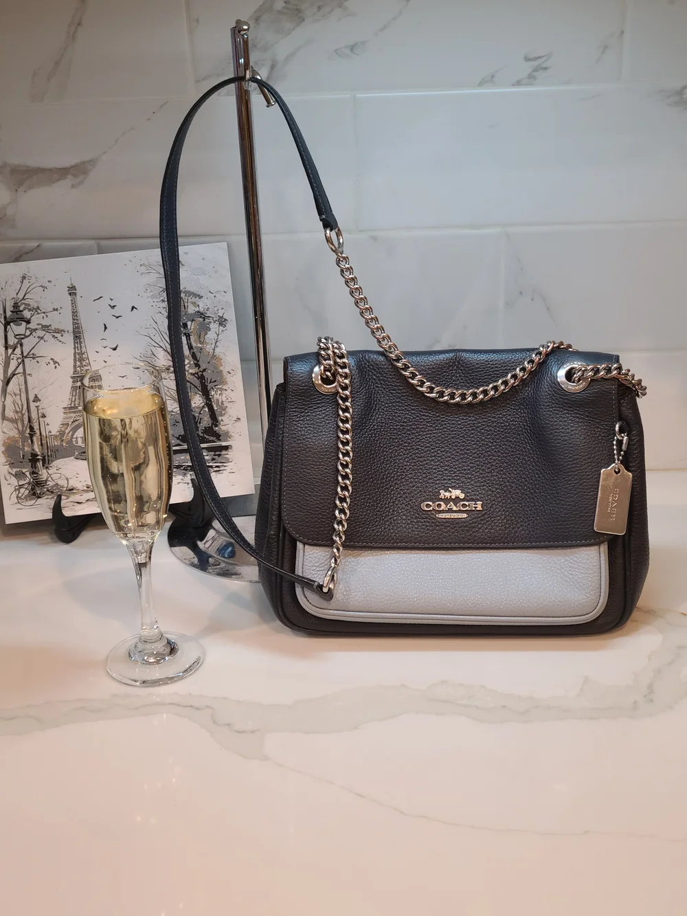 Coach klare crossbody
