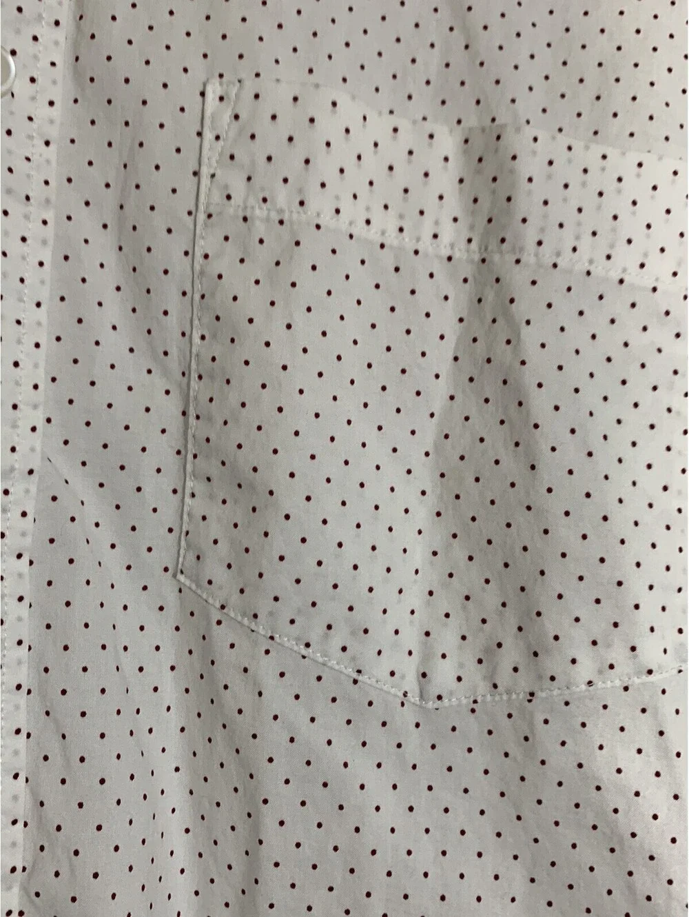 J. Crew men crew