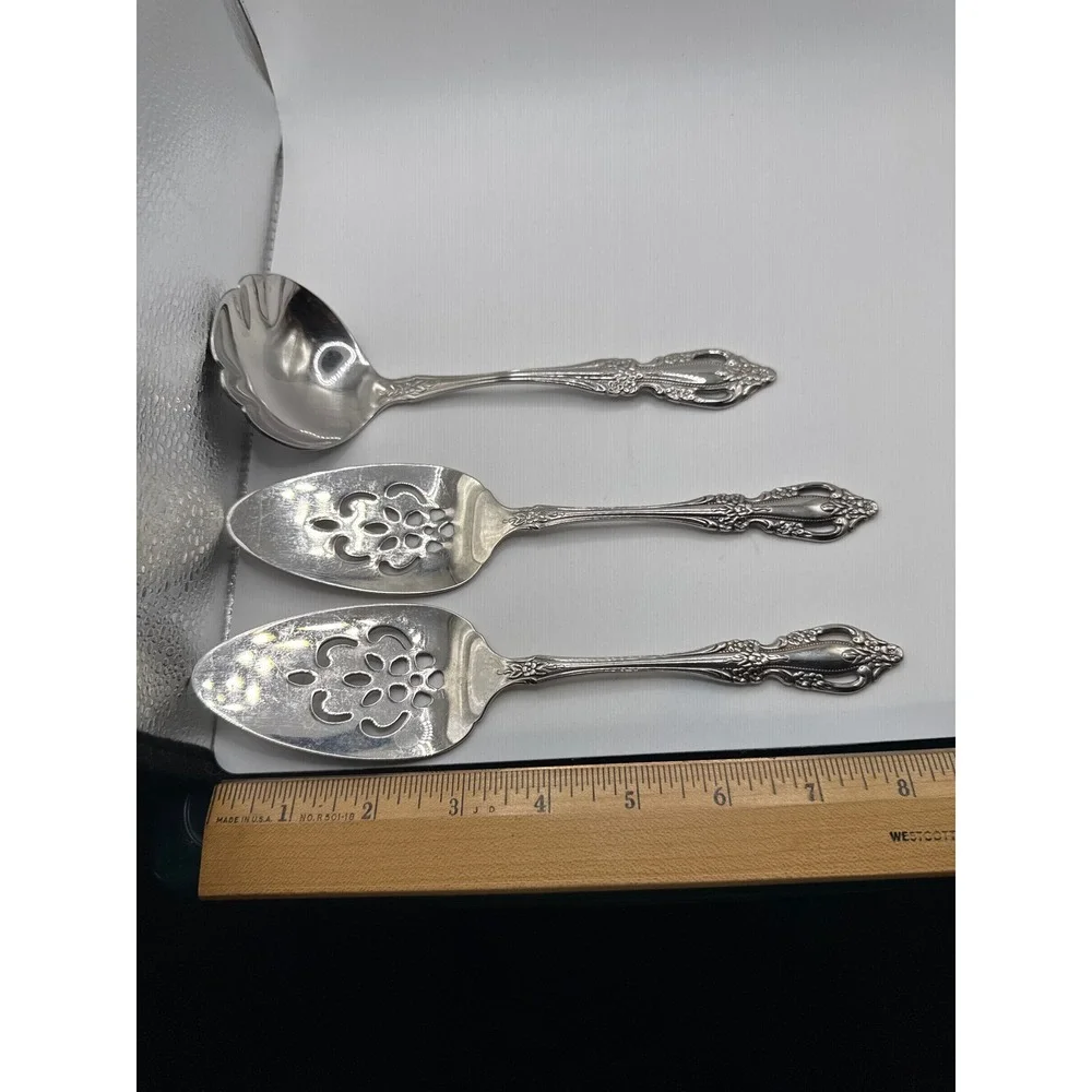 Oneida raphael stainless