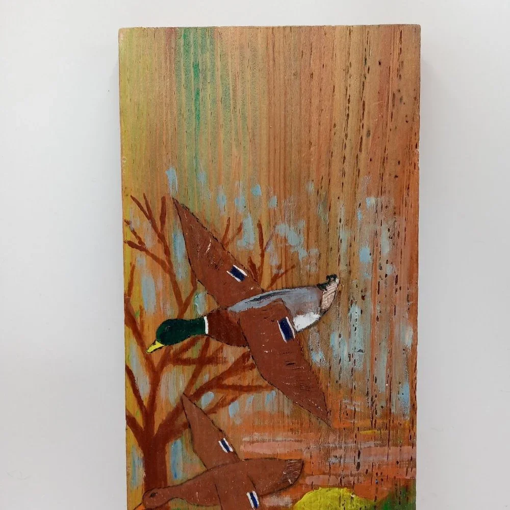 N/A duck folk
