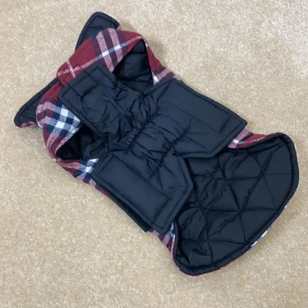 N/A plaid dog